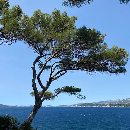 Apartamento Duplex Eden Park Le Pradet